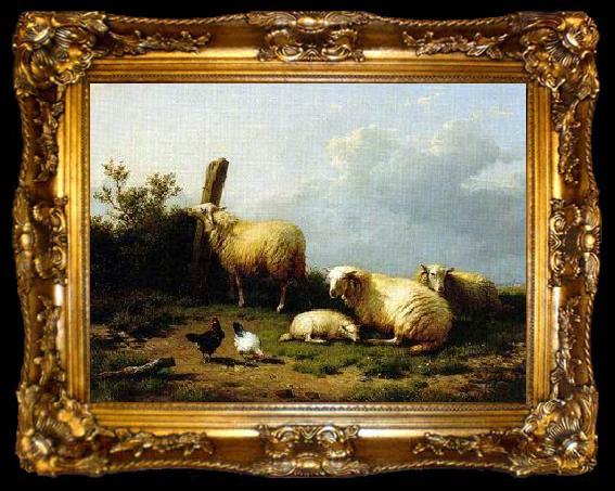 framed  unknow artist Sheep 070, ta009-2